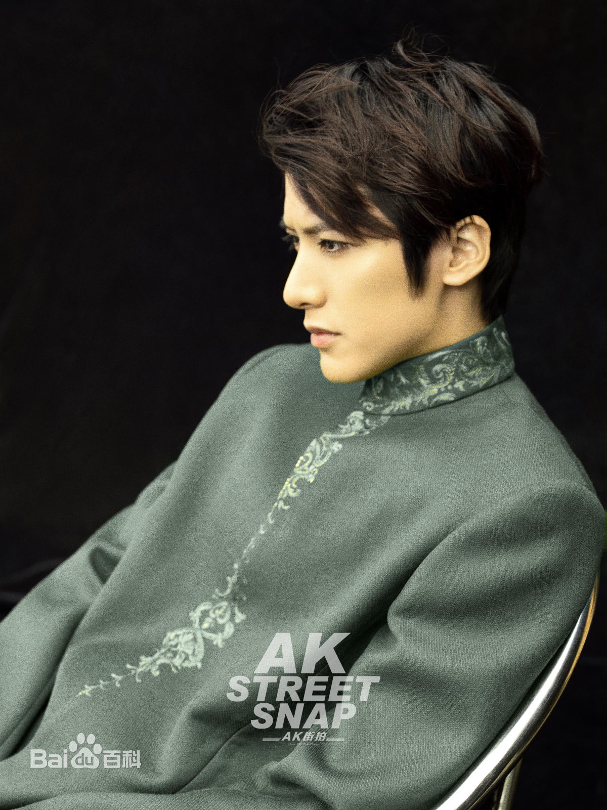 赖艺(Lion)照片壁纸壁纸