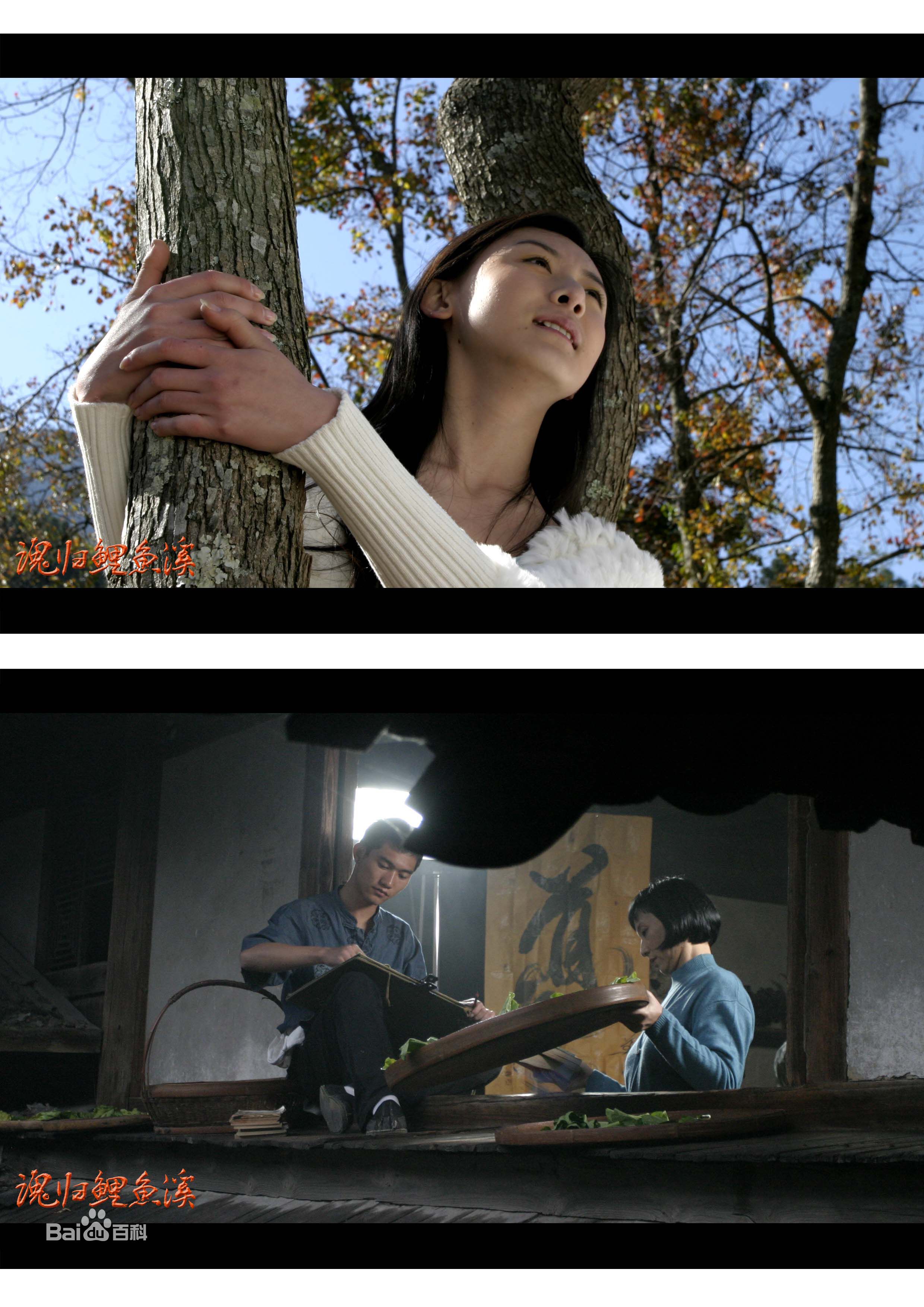 彭立冲《魂归鲤鱼溪》精选剧照