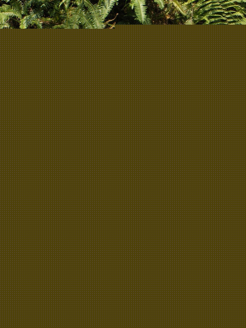 李帅(Li Shuai)最全剧照