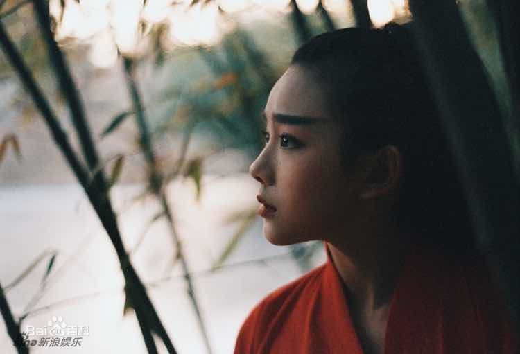 鲁照华东方不败