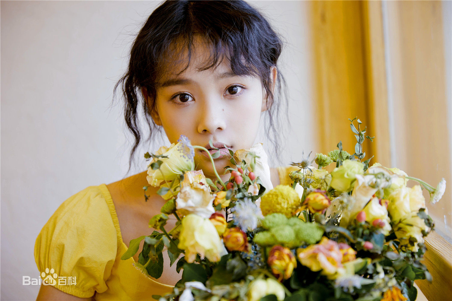 鲁照华精选图册