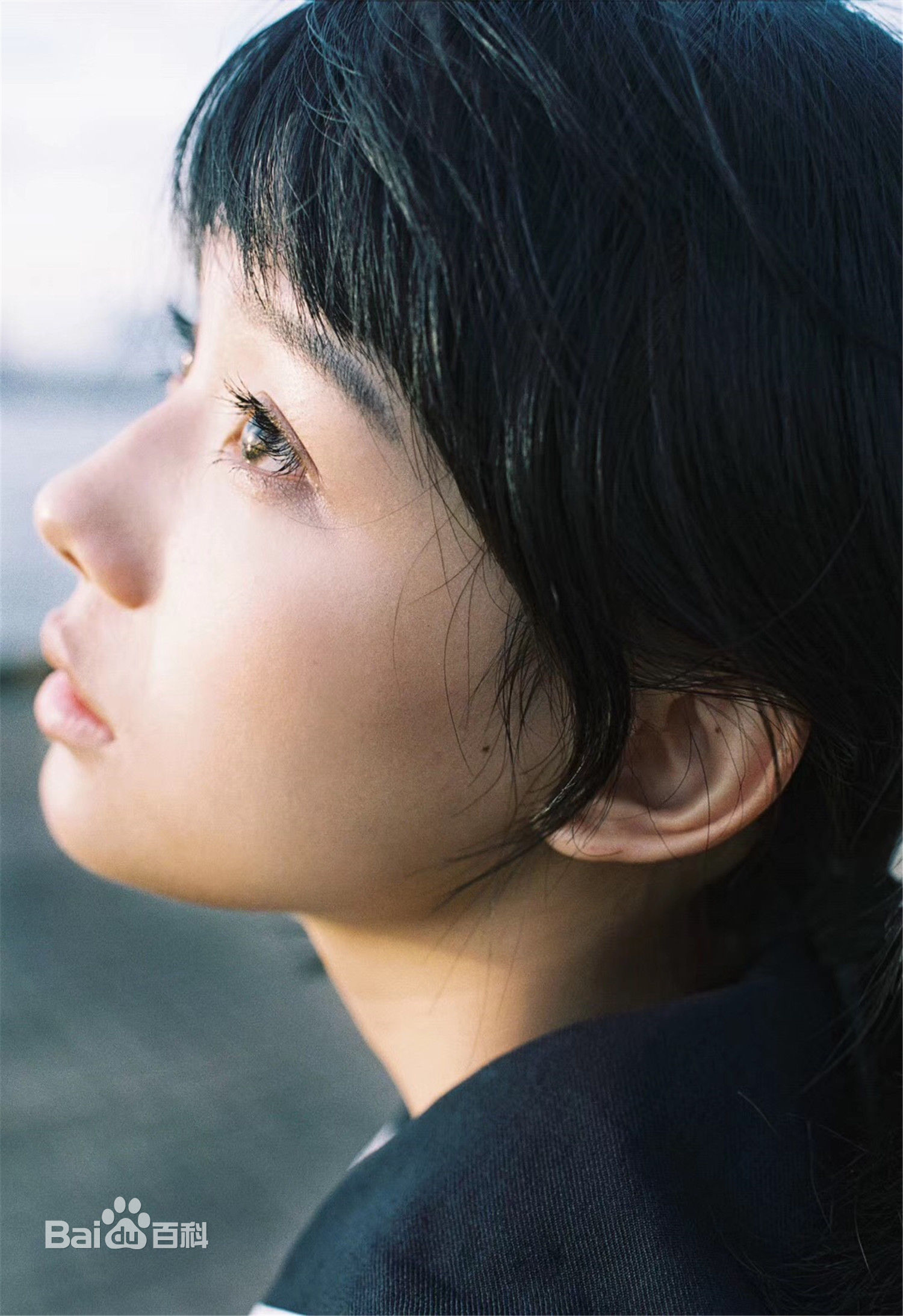 鲁照华最全相册