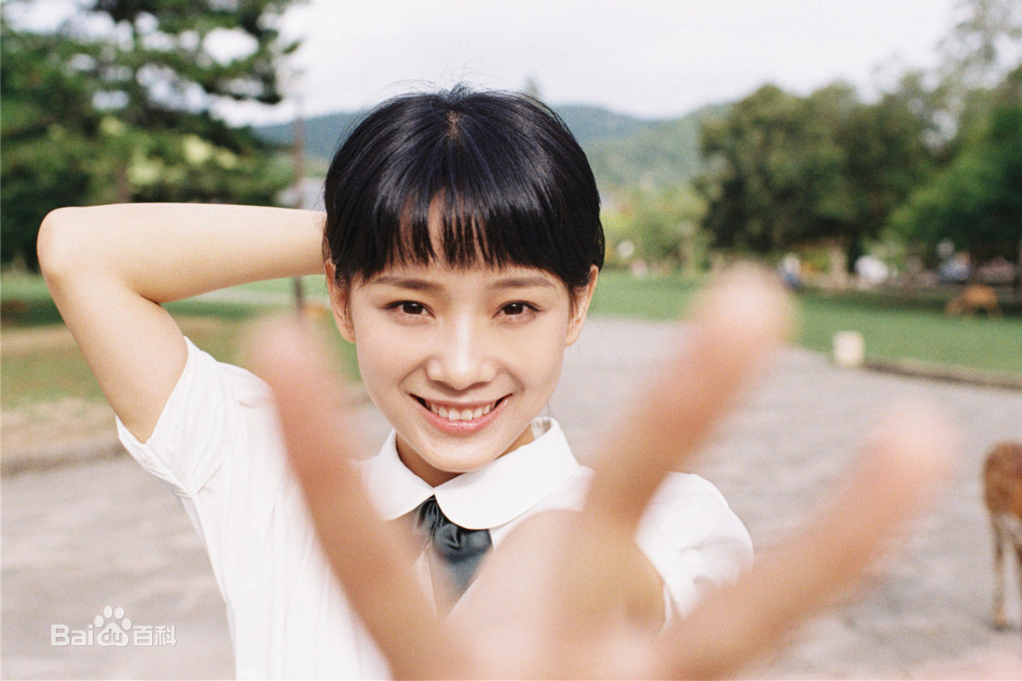 鲁照华最全相册