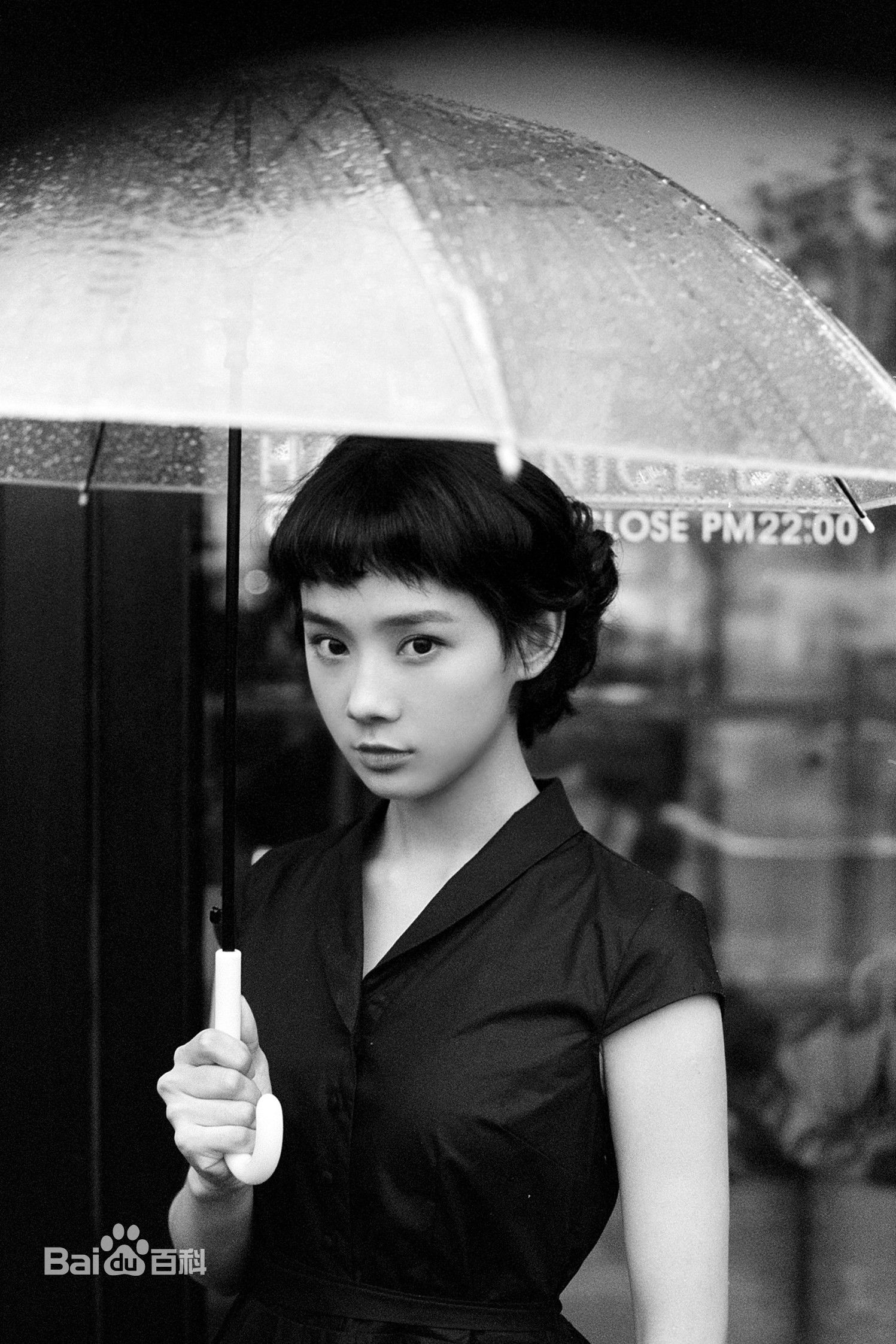 鲁照华最全相册