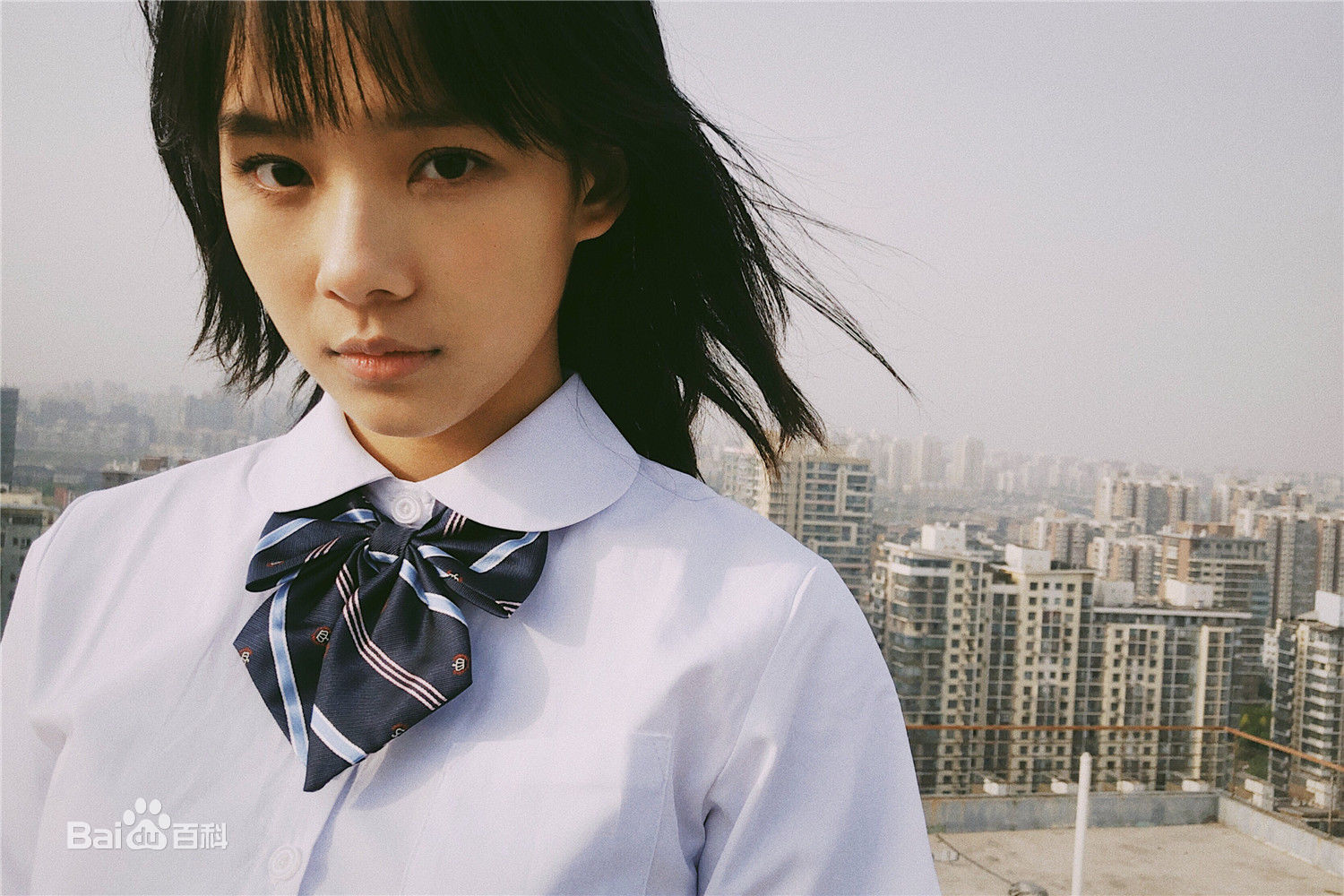 鲁照华最全相册