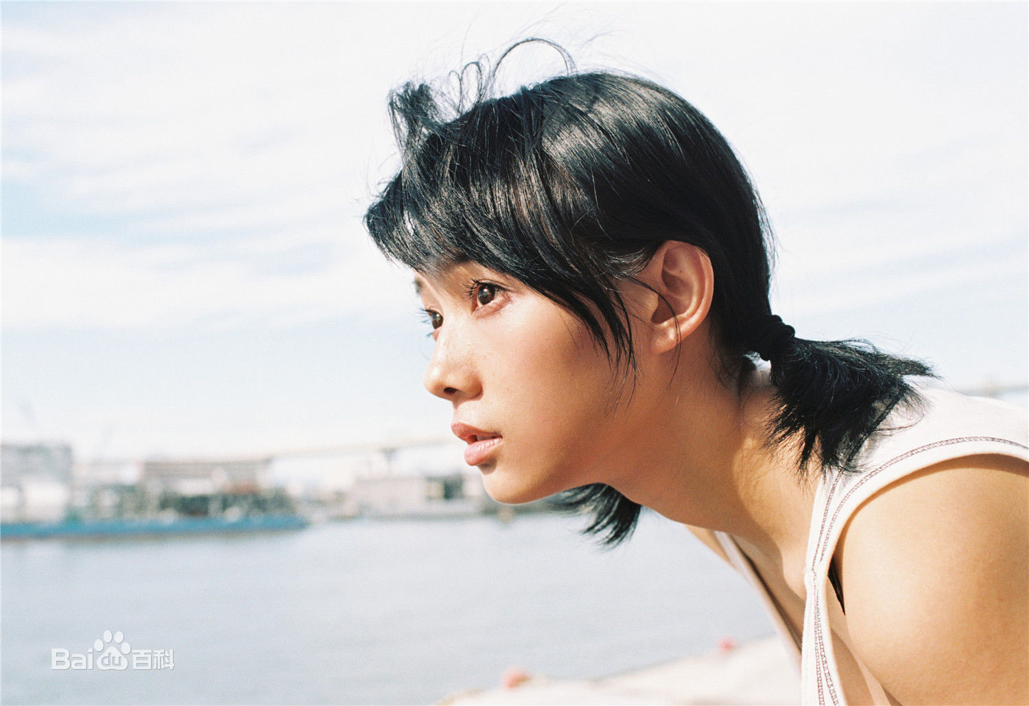 鲁照华最全相册