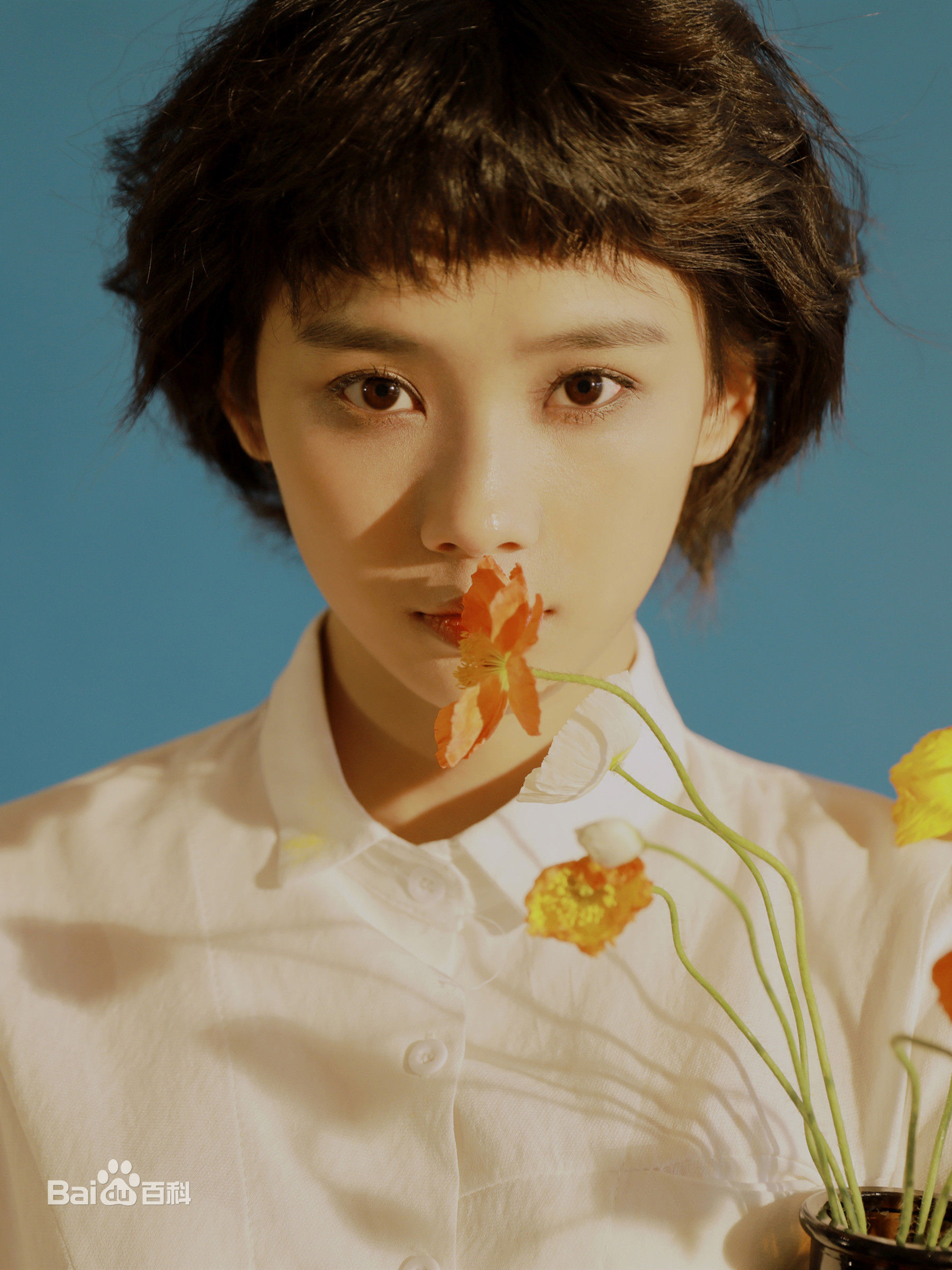 高清鲁照华图片