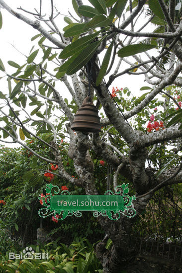 高清陶喆(David Zee Tao)精彩图册