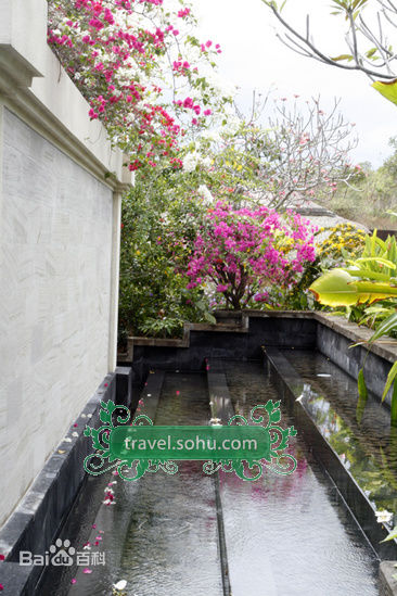 高清陶喆(David Zee Tao)精彩图册