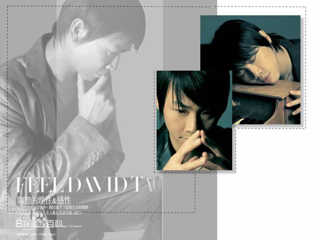 陶喆(David Zee Tao)精彩图册
