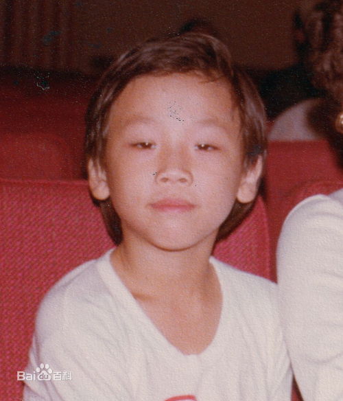 陶喆(David Zee Tao)与家人图册