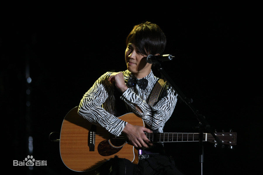 陶喆(David Zee Tao)演唱会现场照前后照片