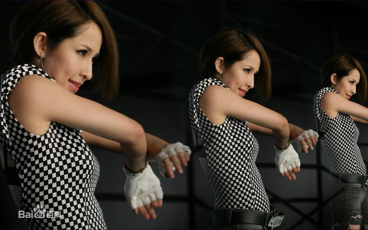 最新萧亚轩(Elva Hsiao)在专辑《三面夏娃》中的壁纸