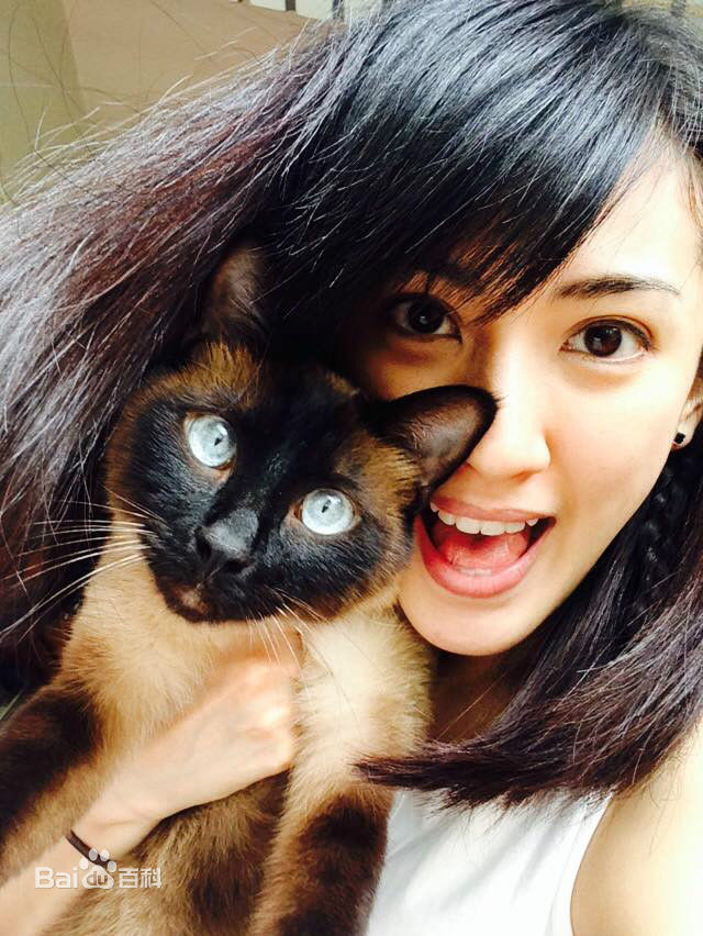 陈怡嘉(Ikeya Chen)生活照壁纸壁纸