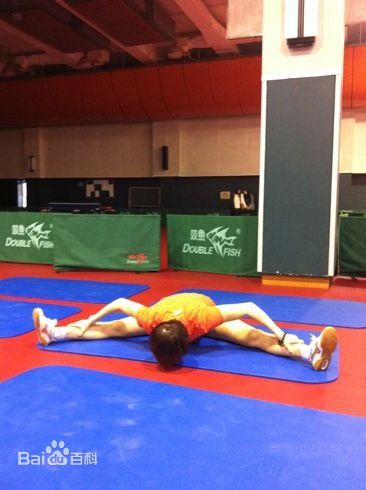 丁宁比赛训练图素颜照相册