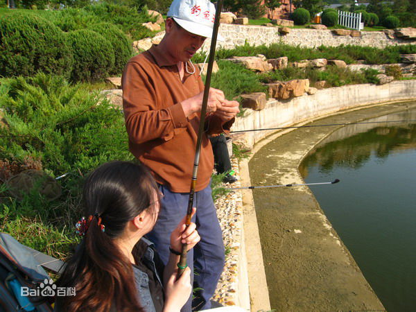 精选康丁(Kang Ting)