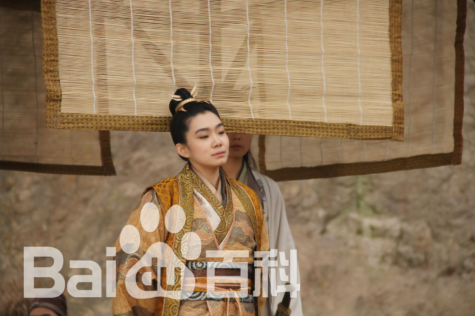 杜娟电视剧《新保镖之翡翠娃娃》最全剧照