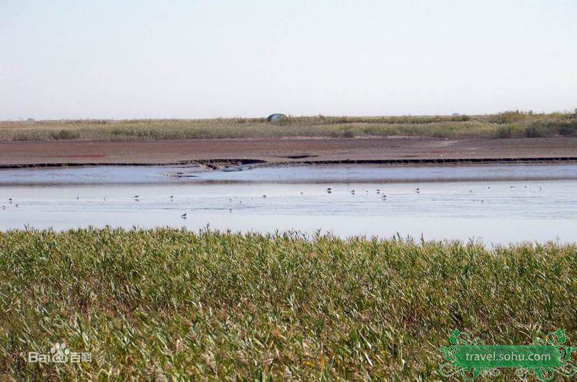 飞轮海(Fahrenheit)精彩图册