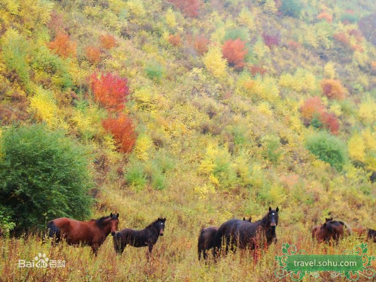 飞轮海(Fahrenheit)精彩图册