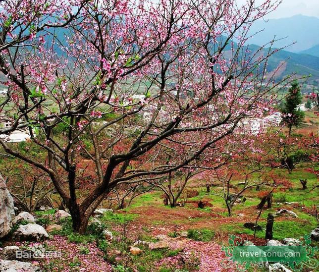 飞轮海(Fahrenheit)精彩图册