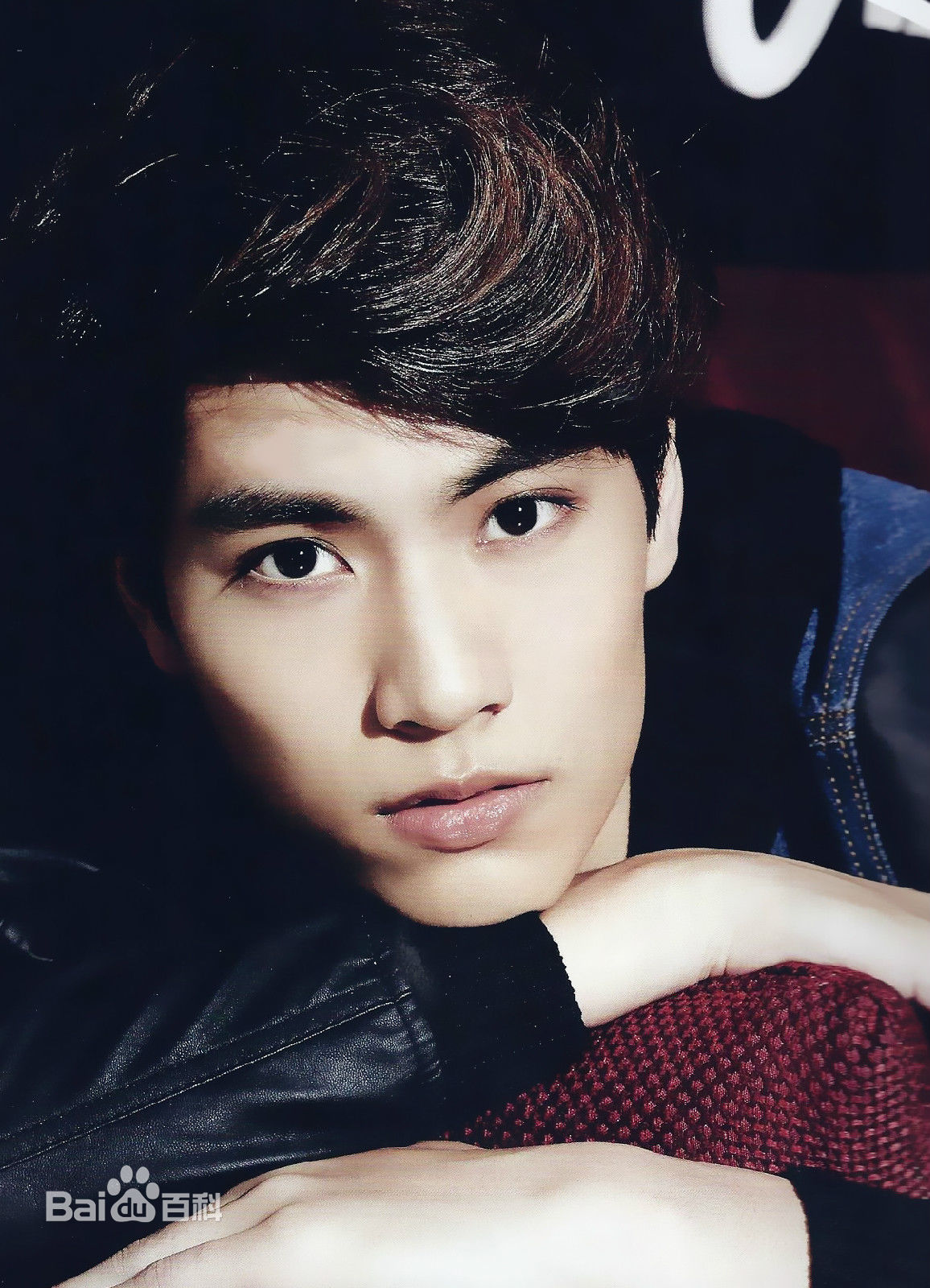 高清林子闳(Sam)图片