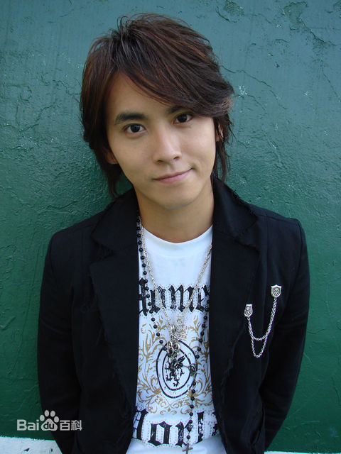 最全陈德修(Shumetheny)精彩图册