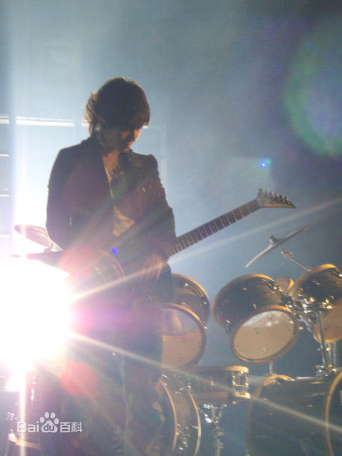 最全陈德修(Shumetheny)精彩图册