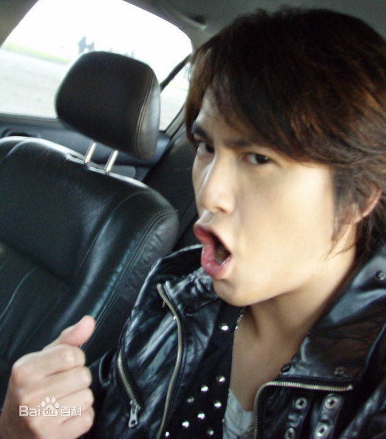 最全陈德修(Shumetheny)精彩图册