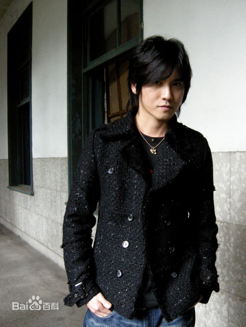 最全陈德修(Shumetheny)精彩图册