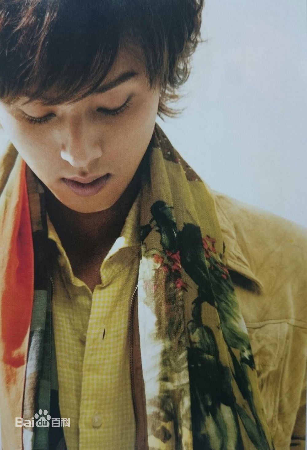 最全藤谷太辅(ふじがや たいすけ、Fujigaya Taisuke)壁纸