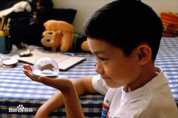 张洋洋(Jonathan Chang)剧照