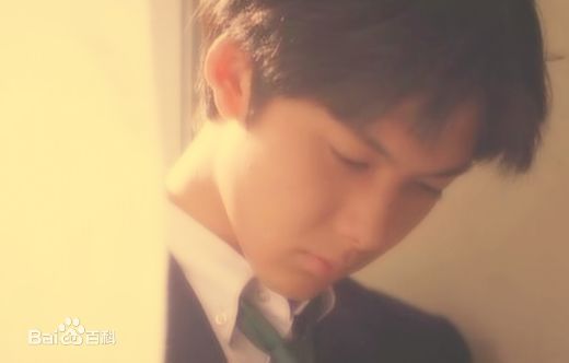 吴子云藤井树图册