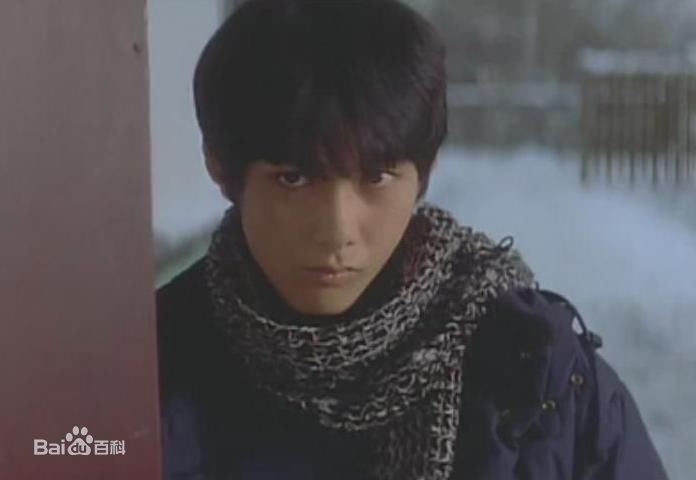 吴子云藤井树图册