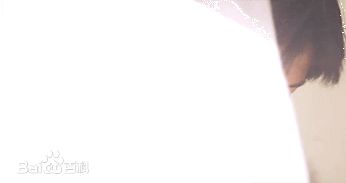 高清吴子云图片