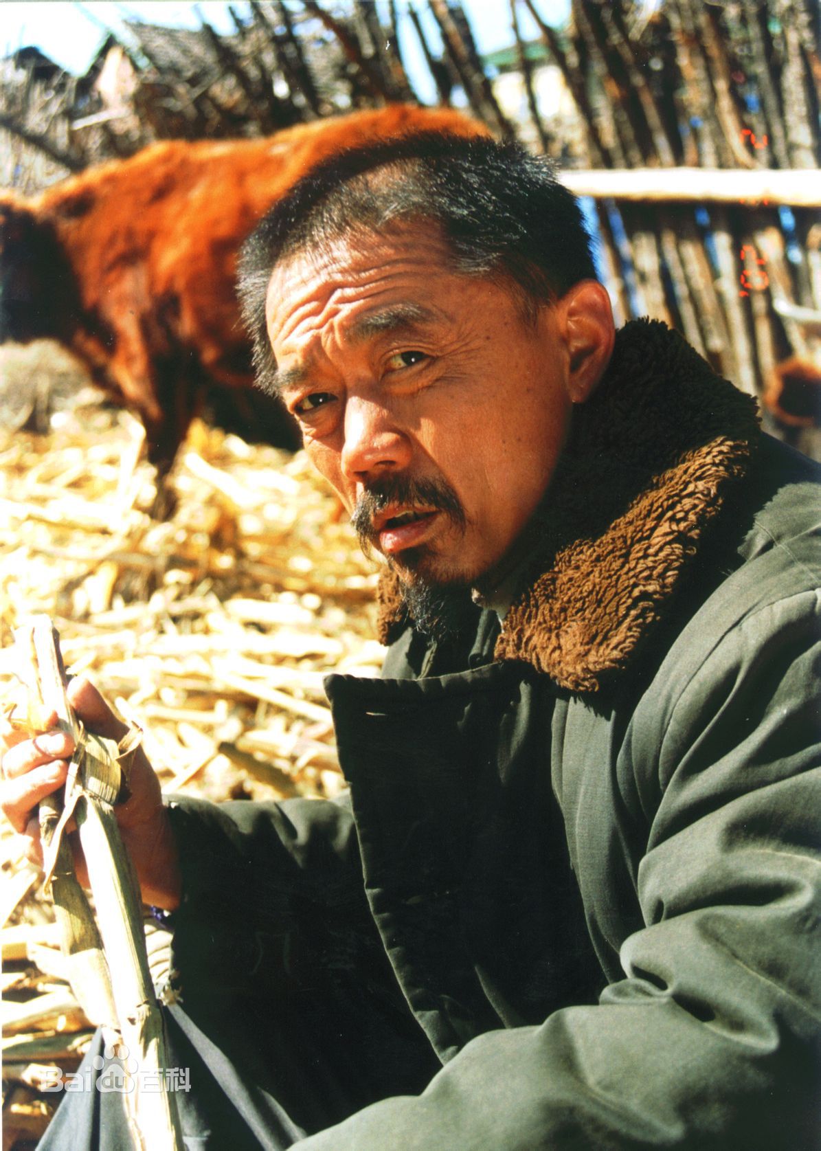 尚铁龙精选剧照