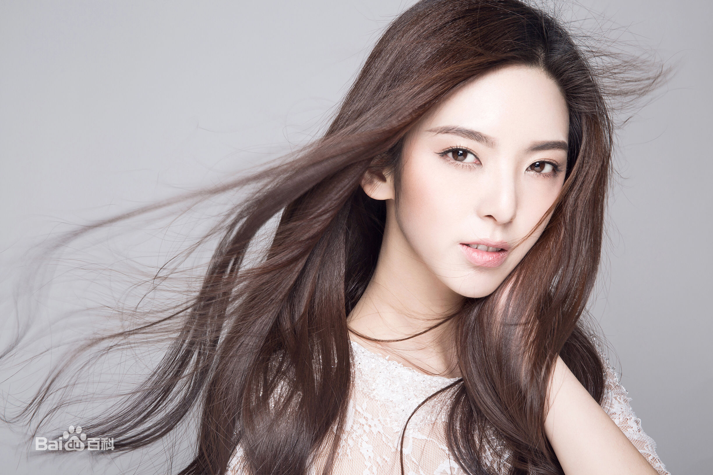 陈菲精选大片图册