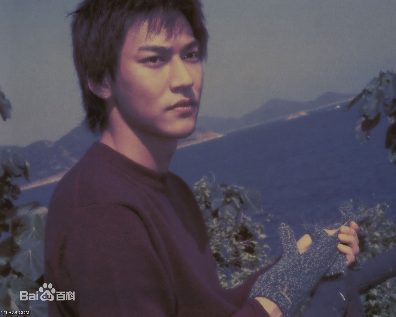 骆力炜(Marco Lok)生活照三壁纸壁纸