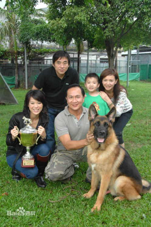 最优质艾威(Wilson Tsui)生活照