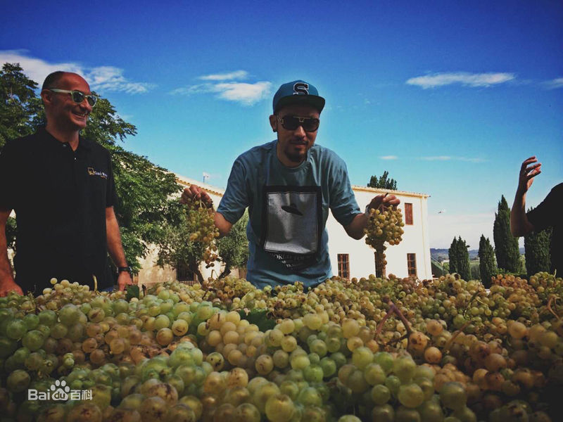 高清姚中仁(MC Hotdog)在《孤独星球的音乐孩子》中的图集