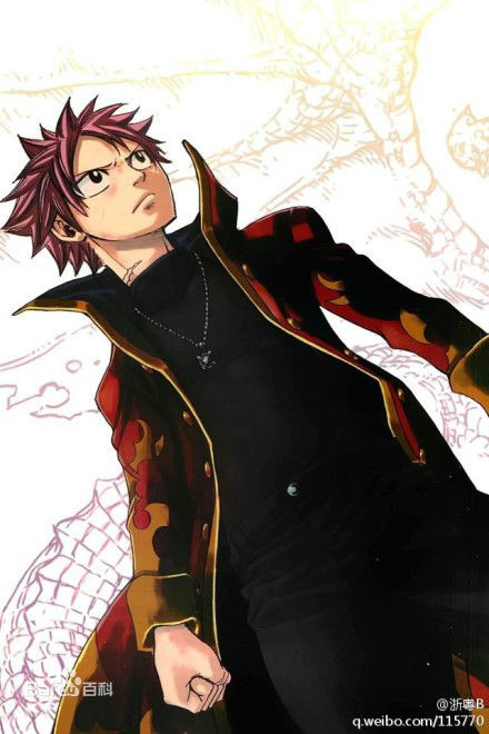 艾特利亚斯·纳兹·多拉格尼尔(日文：エーテリアス ナツ ドラグニル<br>英文：Etherious   Natsu   Dragneel)纳兹·个人图片图集