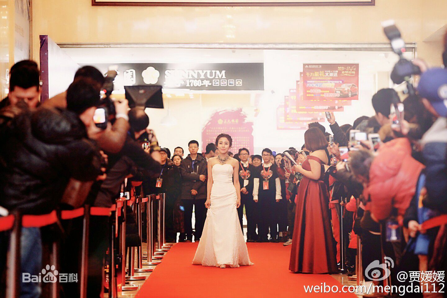 贾媛媛(YOLANDA JIA;JIAYUANYUAN)出席典礼红地毯壁纸壁纸