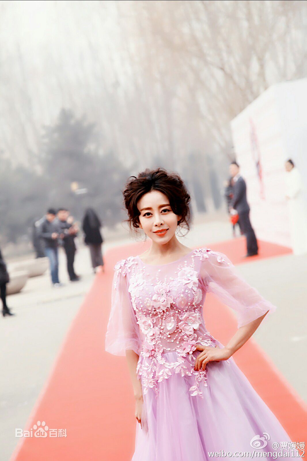 贾媛媛(YOLANDA JIA;JIAYUANYUAN)出席典礼红地毯壁纸壁纸