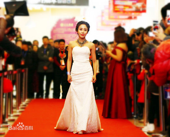 贾媛媛(YOLANDA JIA;JIAYUANYUAN)出席典礼红地毯壁纸壁纸