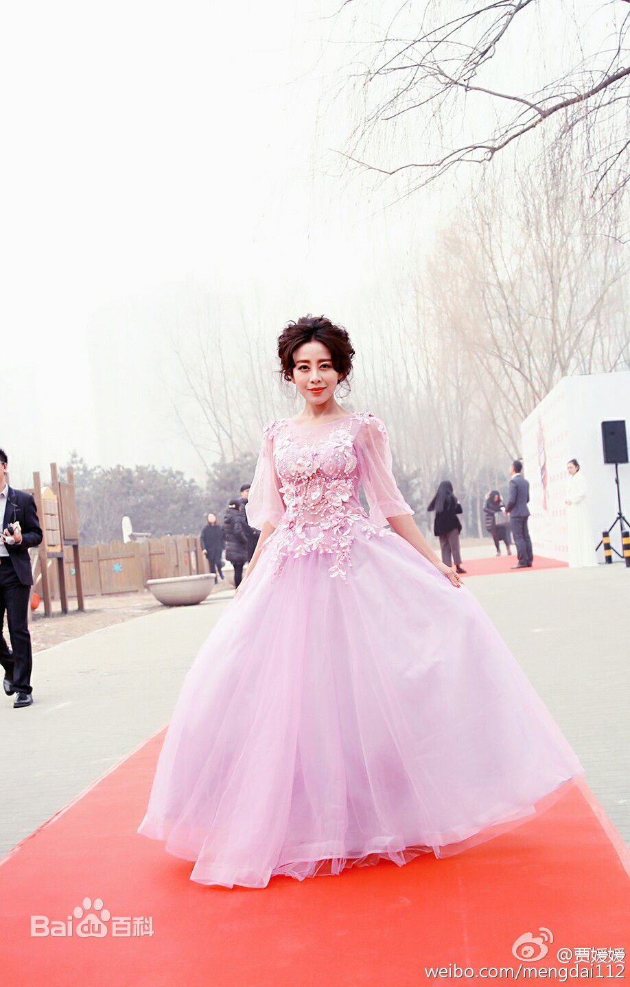贾媛媛(YOLANDA JIA;JIAYUANYUAN)出席典礼红地毯壁纸壁纸
