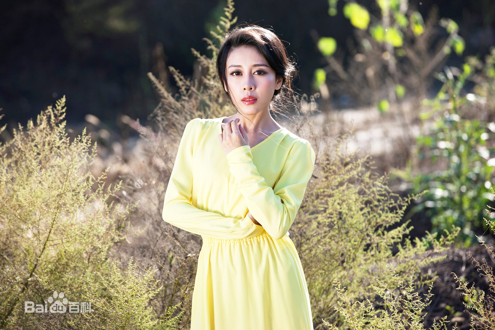 贾媛媛(YOLANDA JIA;JIAYUANYUAN)最新壁纸