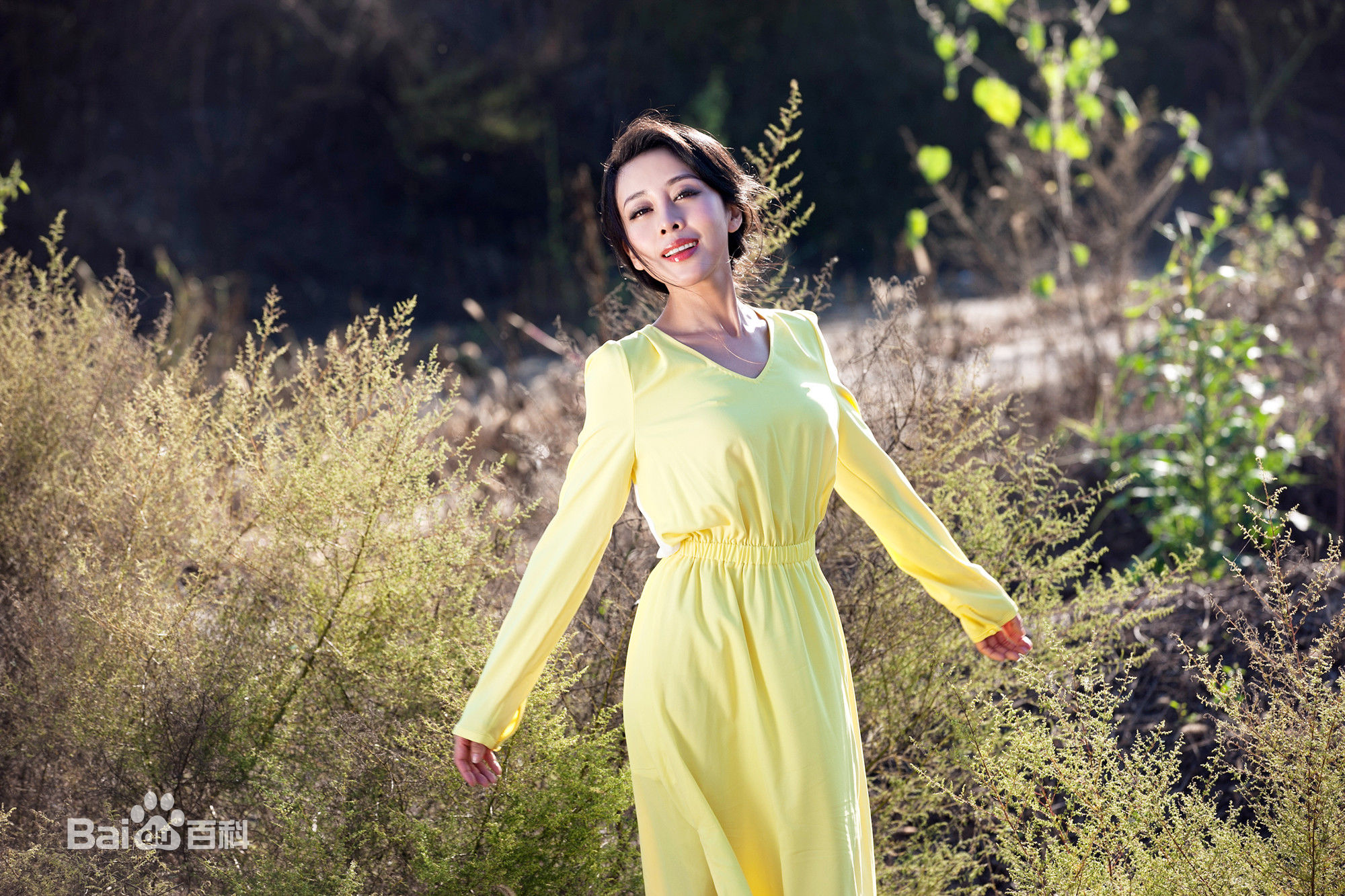 贾媛媛(YOLANDA JIA;JIAYUANYUAN)最新壁纸