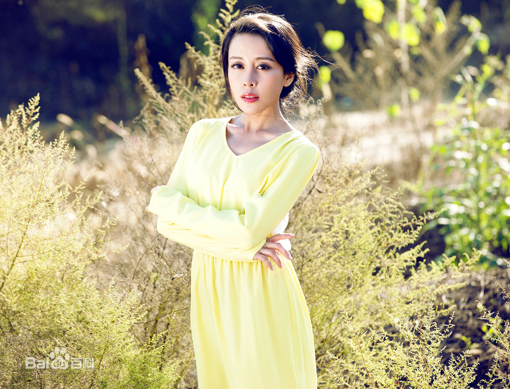 贾媛媛(YOLANDA JIA;JIAYUANYUAN)最新壁纸