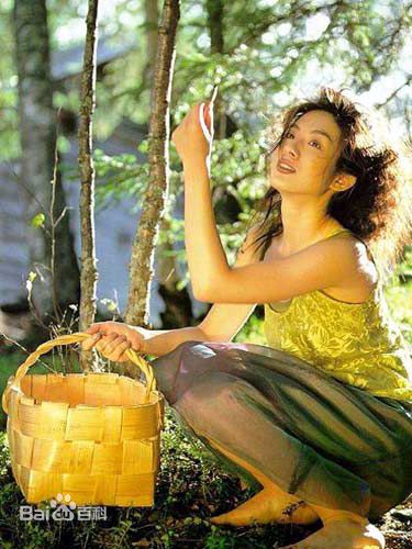 何嘉莉(Lillian)精选图册