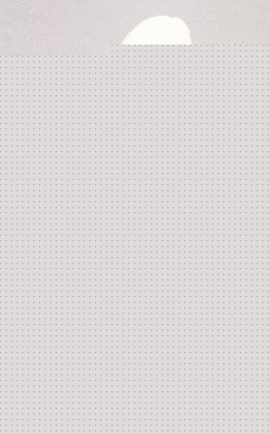 最新何嘉莉(Lillian)性感图片