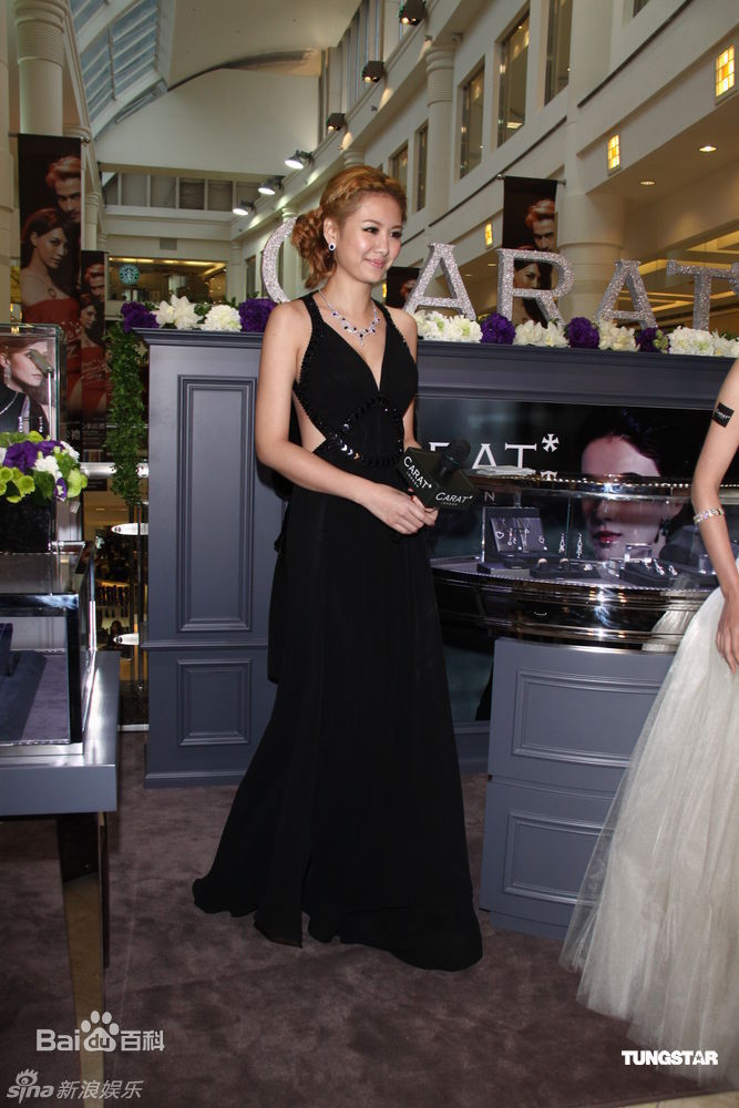 精选柴智屏(Angie Chai)精彩图册